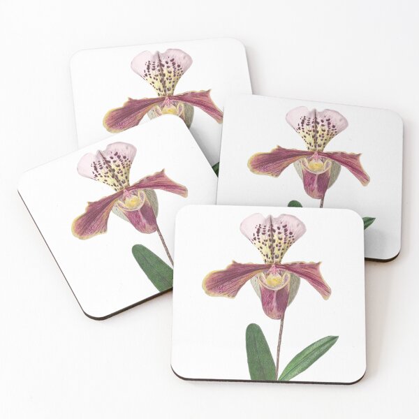 Item preview, Orchid designed and sold by anasfmh.