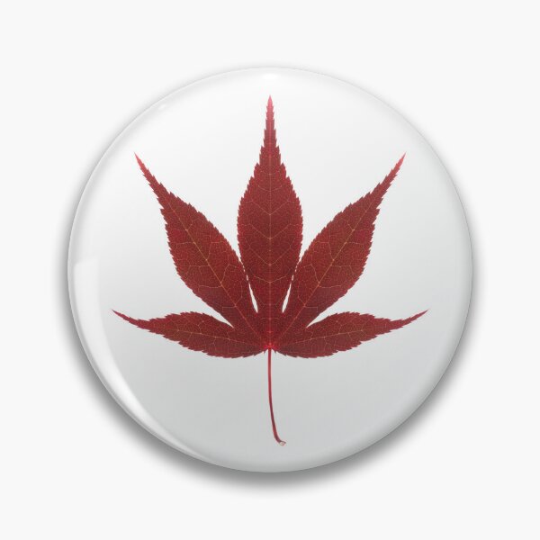 Item preview, Red acer leaf designed and sold by rheyes.
