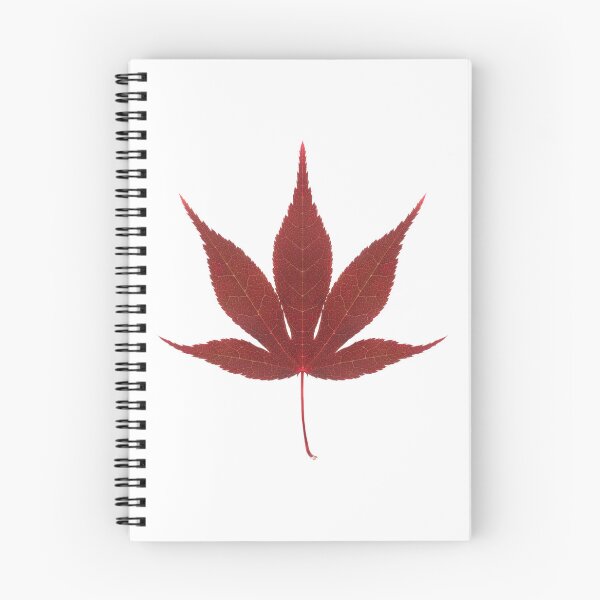 Item preview, Red acer leaf designed and sold by rheyes.