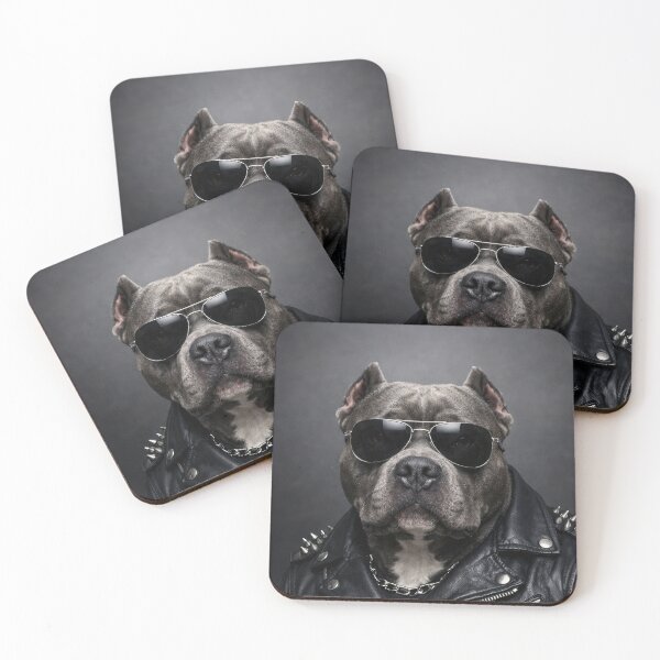 Item preview, Rocker Pitbull Dog Sunglasses and Rocker Jacket designed and sold by amrphotos18.