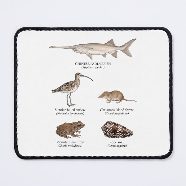 Item preview, Species Declared Extinct 2020s designed and sold by ArunDandiboina.