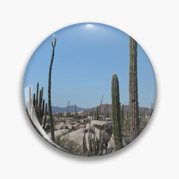 Item preview, Cactus Desert Landscape Photographic Print designed and sold by Mother-Nature65.