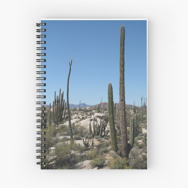 Item preview, Cactus Desert Landscape Photographic Print designed and sold by Mother-Nature65.