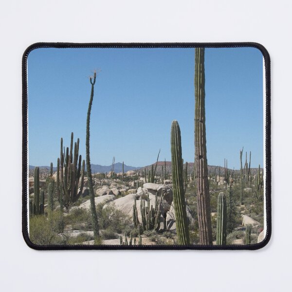 Item preview, Cactus Desert Landscape Photographic Print designed and sold by Mother-Nature65.