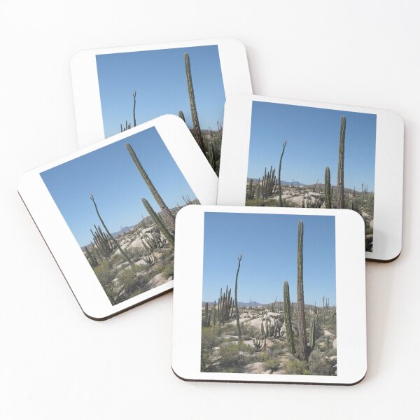 Item preview, Cactus Desert Landscape Photographic Print designed and sold by Mother-Nature65.