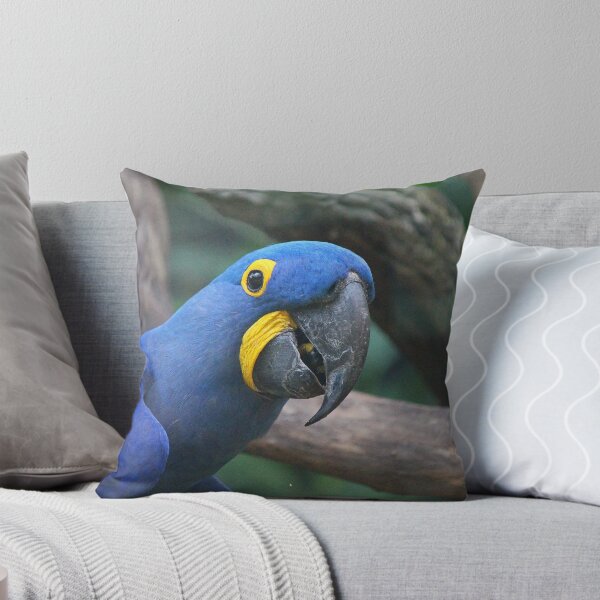 Item preview, Blue Hyacinth Macaw designed and sold by LeanneAllen.