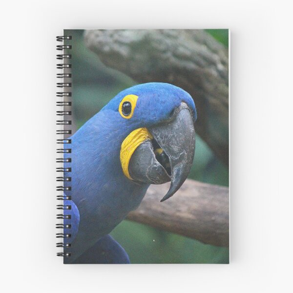 Item preview, Blue Hyacinth Macaw designed and sold by LeanneAllen.