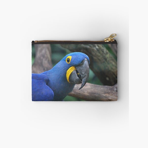 Item preview, Blue Hyacinth Macaw designed and sold by LeanneAllen.