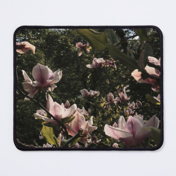 Item preview, Pink Magnolia Flowers in Sunlit Spring Garden Macro designed and sold by vikko-art.