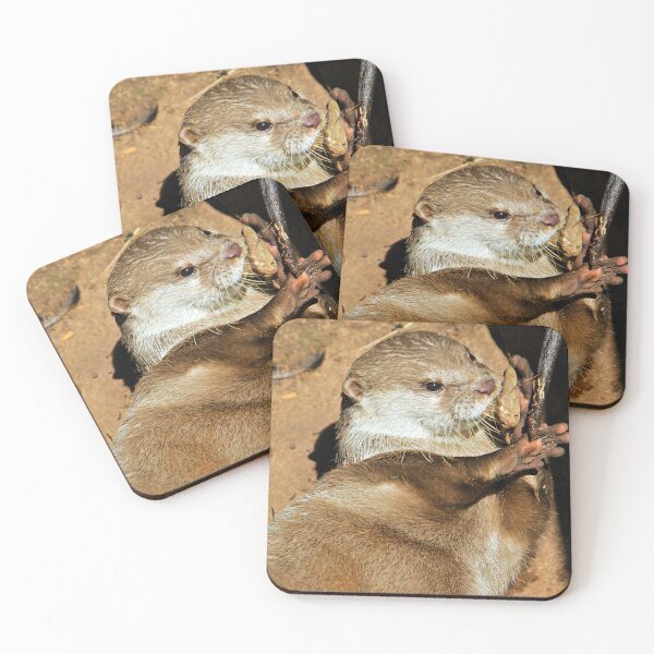 Item preview, Asian Short-clawed Otter,Tropiquaria, Somerset designed and sold by RJKYTE1970.