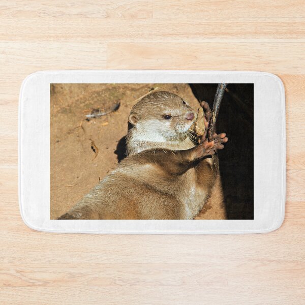 Item preview, Asian Short-clawed Otter,Tropiquaria, Somerset designed and sold by RJKYTE1970.