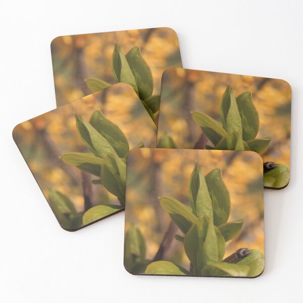 Item preview, New Green Leaves Sprouting - Nature Awakening Macro designed and sold by vikko-art.