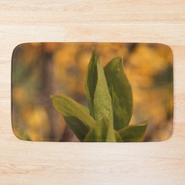 Item preview, New Green Leaves Sprouting - Nature Awakening Macro designed and sold by vikko-art.