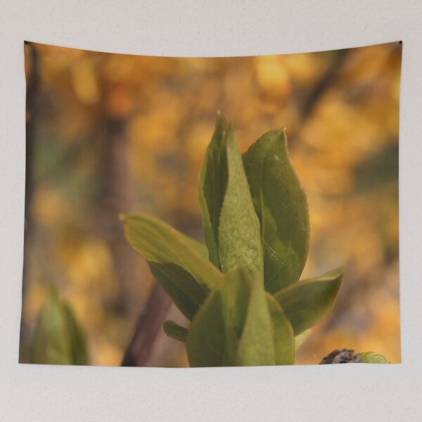 Item preview, New Green Leaves Sprouting - Nature Awakening Macro designed and sold by vikko-art.