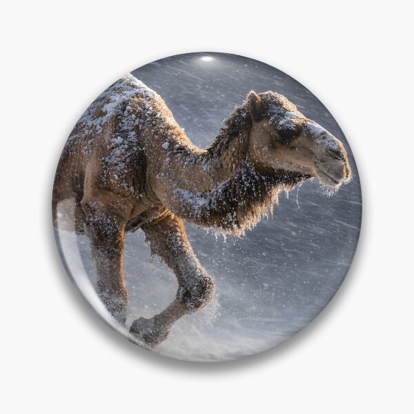 Item preview, Camel in a Blizzard – Surreal Desert Wildlife Wall Art | Climate Paradox designed and sold by frankseebald.