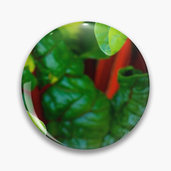 Item preview, Ruby Chard designed and sold by Stephen Baird Photos.