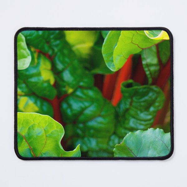 Item preview, Ruby Chard designed and sold by Stephen Baird Photos.