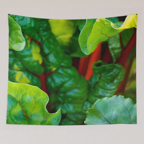 Item preview, Ruby Chard designed and sold by Stephen Baird Photos.