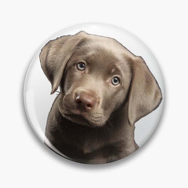 Item preview, Cutest pup designed and sold by ArtfulPlay.