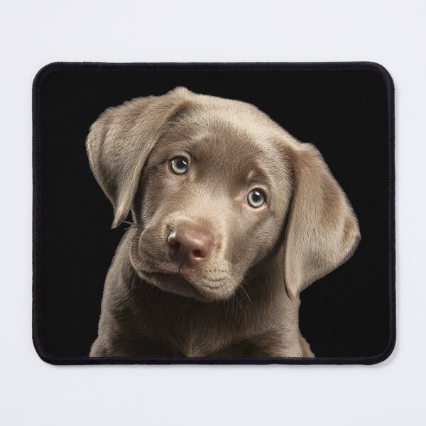 Item preview, Cutest pup designed and sold by ArtfulPlay.