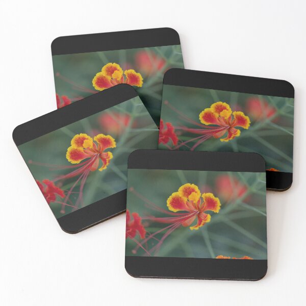 Item preview, Tropical Flame - Pride of Barbados Floral Macro Art designed and sold by AbulailArt.