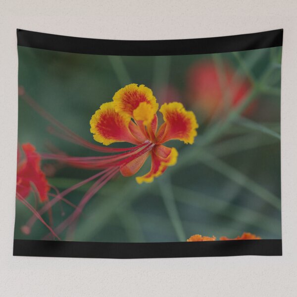 Item preview, Tropical Flame - Pride of Barbados Floral Macro Art designed and sold by AbulailArt.