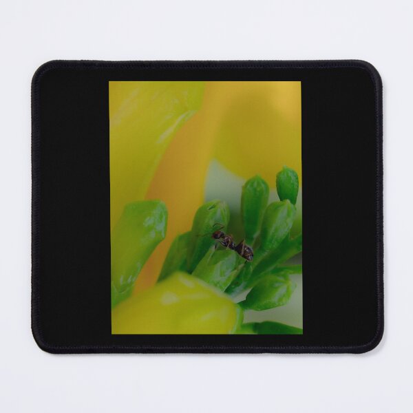 Item preview, Tiny Explorer - Macro Ant on Green Flower Buds Photography designed and sold by AbulailArt.