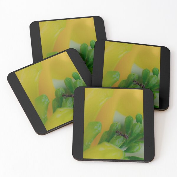 Item preview, Tiny Explorer - Macro Ant on Green Flower Buds Photography designed and sold by AbulailArt.