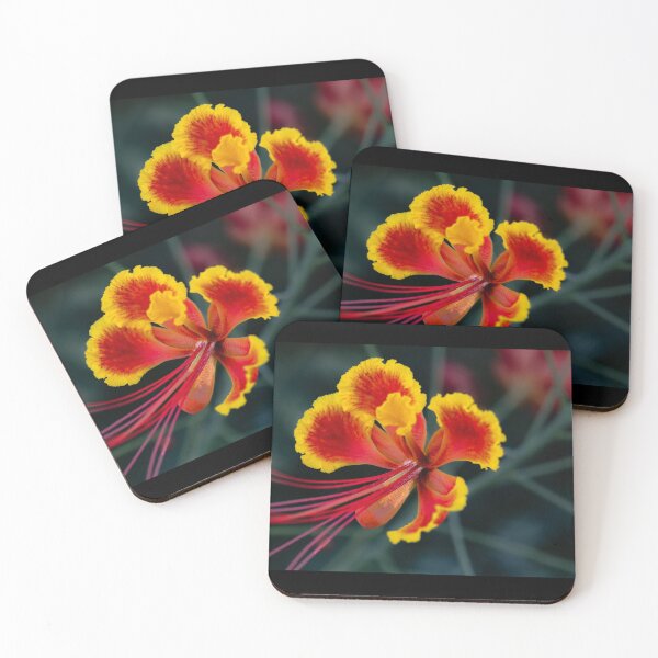 Item preview, Exotic Pride of Barbados - Vibrant Tropical Flower Macro Photography designed and sold by AbulailArt.