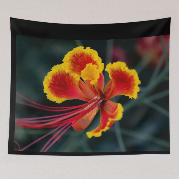 Item preview, Exotic Pride of Barbados - Vibrant Tropical Flower Macro Photography designed and sold by AbulailArt.