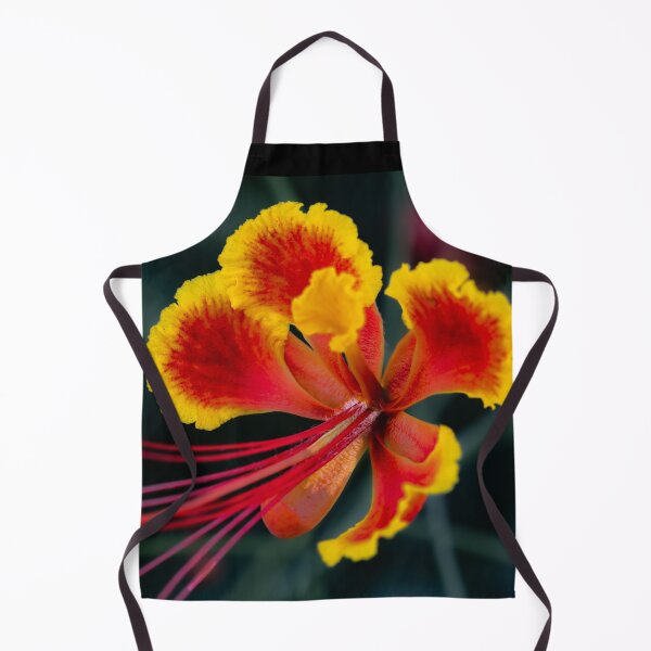 Item preview, Exotic Pride of Barbados - Vibrant Tropical Flower Macro Photography designed and sold by AbulailArt.