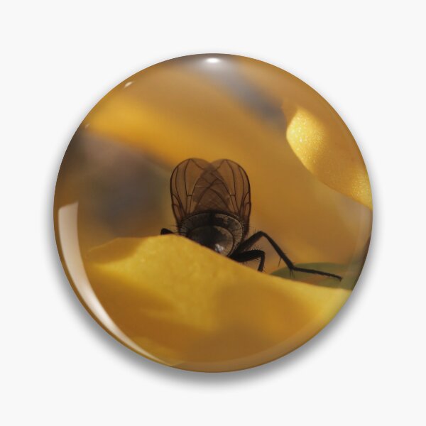 Item preview, Intimate Fly Posterior on Yellow Flower Macro - The Observed Moment designed and sold by vikko-art.