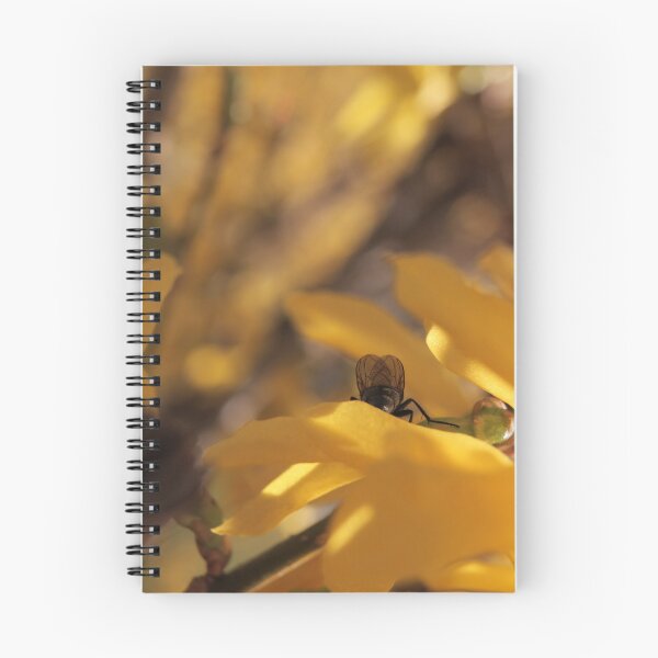 Item preview, Intimate Fly Posterior on Yellow Flower Macro - The Observed Moment designed and sold by vikko-art.