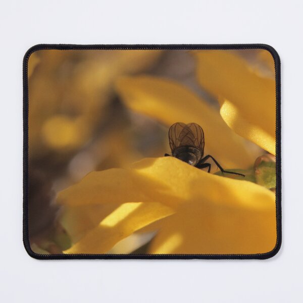 Item preview, Intimate Fly Posterior on Yellow Flower Macro - The Observed Moment designed and sold by vikko-art.
