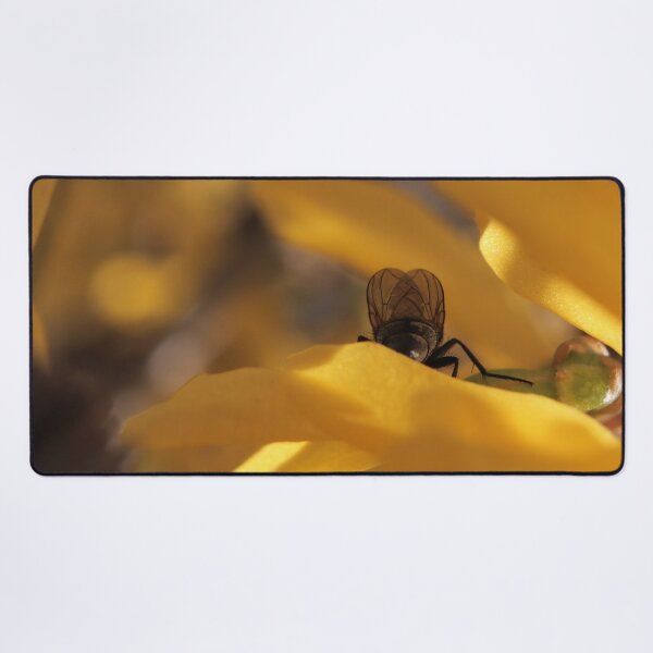 Item preview, Intimate Fly Posterior on Yellow Flower Macro - The Observed Moment designed and sold by vikko-art.