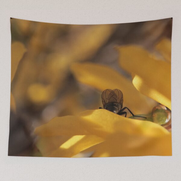 Item preview, Intimate Fly Posterior on Yellow Flower Macro - The Observed Moment designed and sold by vikko-art.