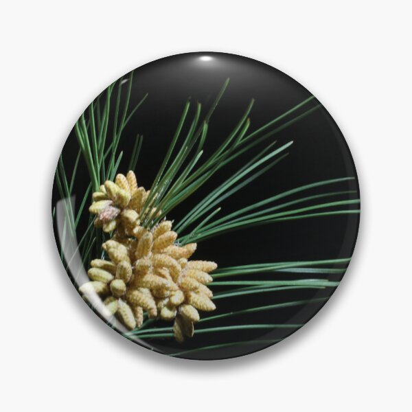 Item preview, Pine cones. designed and sold by Paul Pasco.
