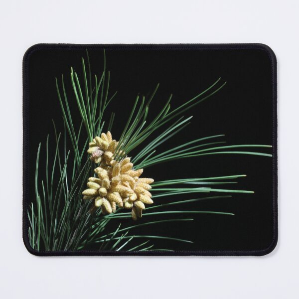 Item preview, Pine cones. designed and sold by Paul Pasco.
