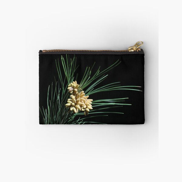 Item preview, Pine cones. designed and sold by Paul Pasco.