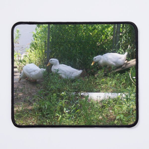 Item preview, White Ducks on a Ramp designed and sold by coribeth.
