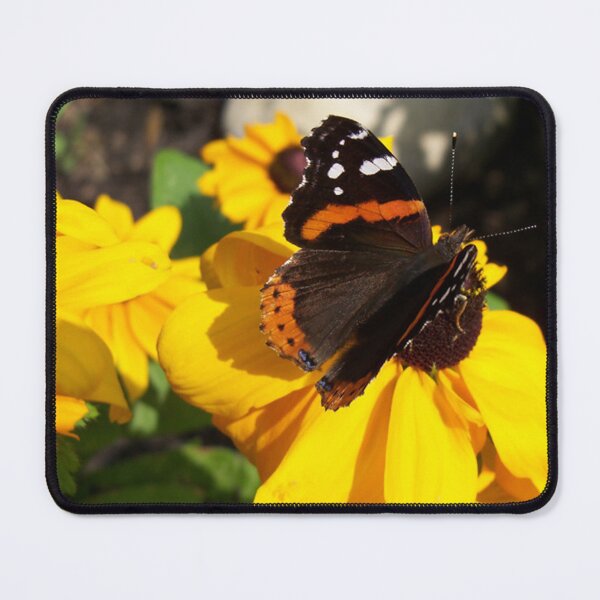 Item preview, Red Admiral Butterfly on Black Eyed Susan designed and sold by coribeth.