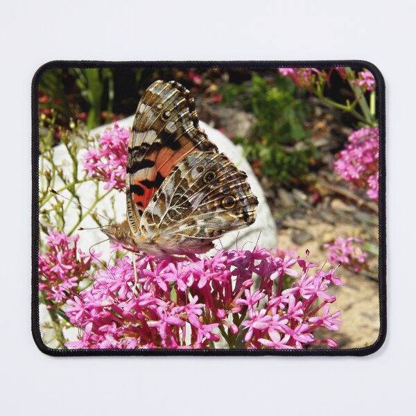 Item preview, Painted Lady Butterfly designed and sold by coribeth.