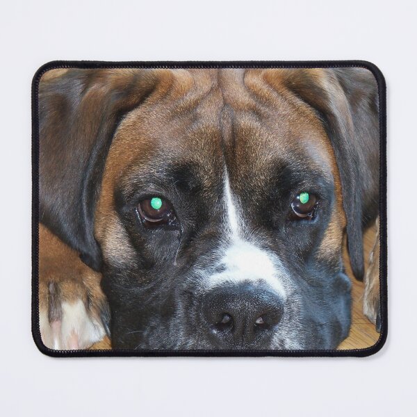 Item preview, Pouting Boxer designed and sold by coribeth.