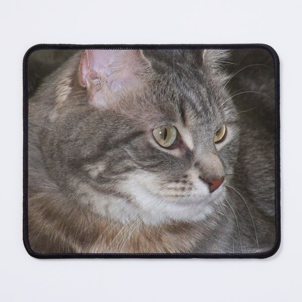 Item preview, Posing Purrfectly Tabby designed and sold by coribeth.