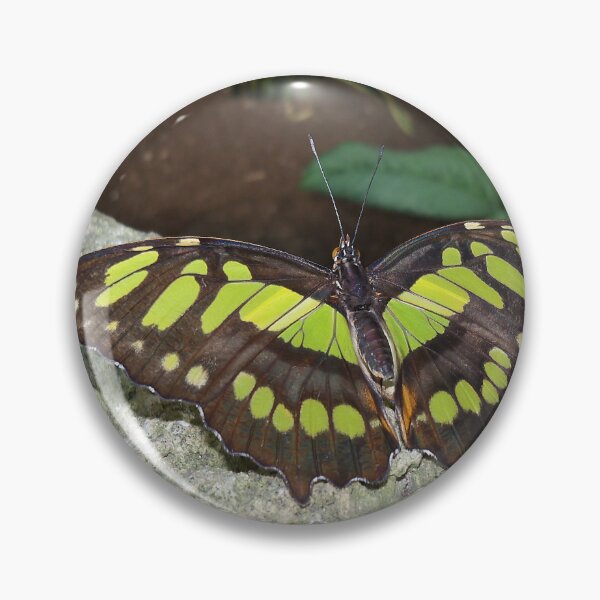 Item preview, Malachite Butterfly - Wings Open designed and sold by coribeth.