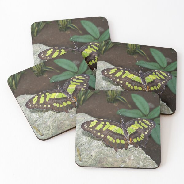 Item preview, Malachite Butterfly - Wings Open designed and sold by coribeth.