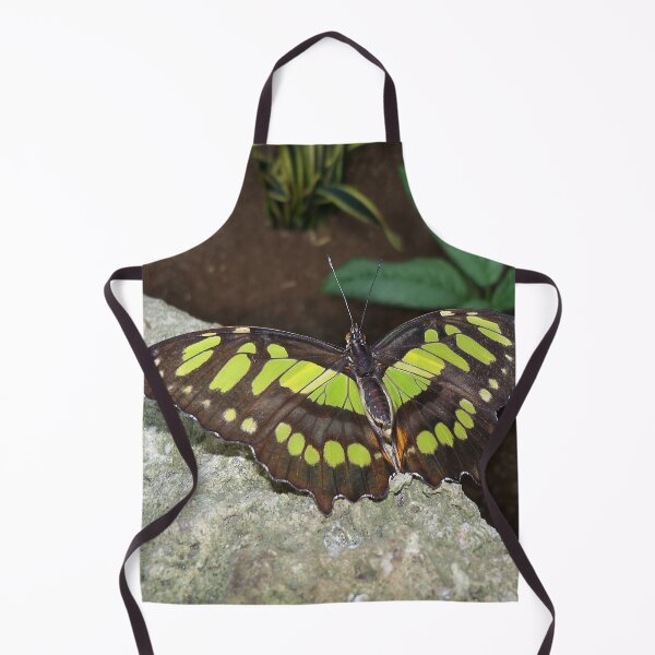 Item preview, Malachite Butterfly - Wings Open designed and sold by coribeth.