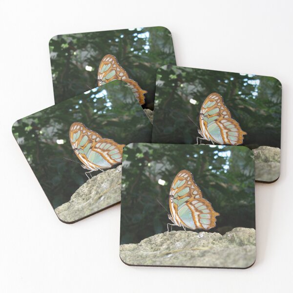 Item preview, Malachite Butterfly - Wings Closed designed and sold by coribeth.