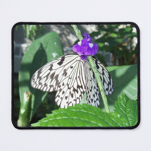 Item preview, Rice Paper Butterfly designed and sold by coribeth.