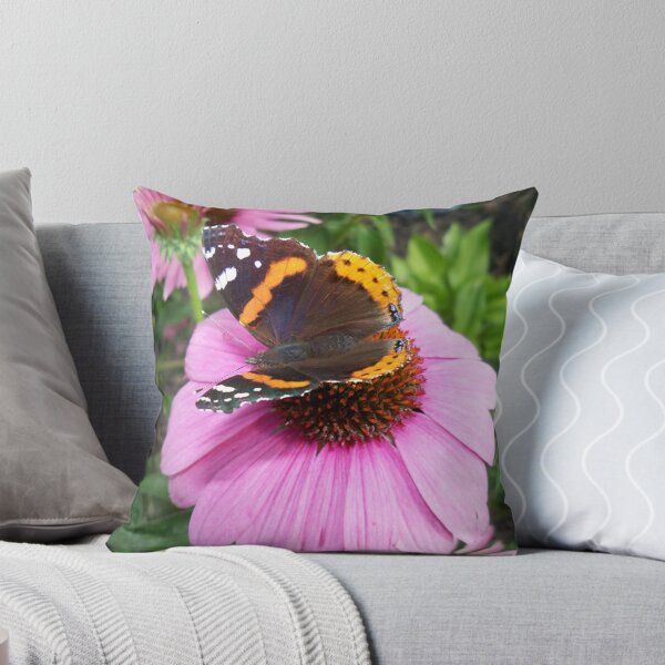 Item preview, Red Admiral Butterfly on Cone Flower designed and sold by coribeth.